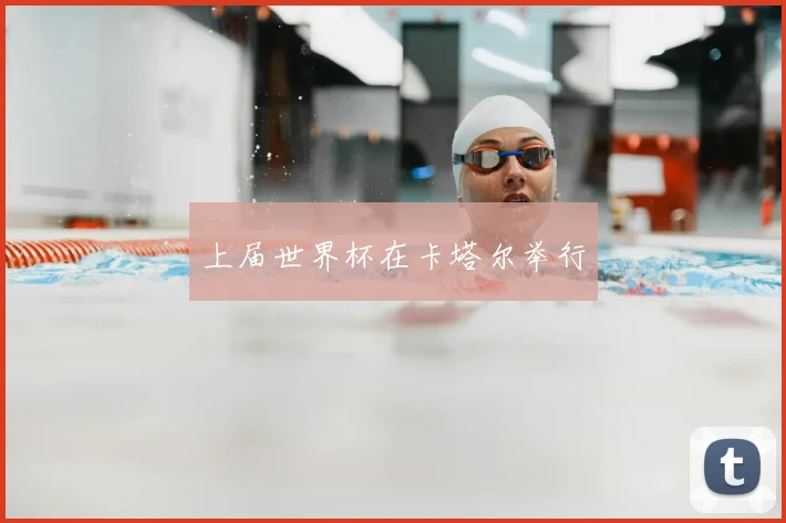 上届世界杯在卡塔尔举行