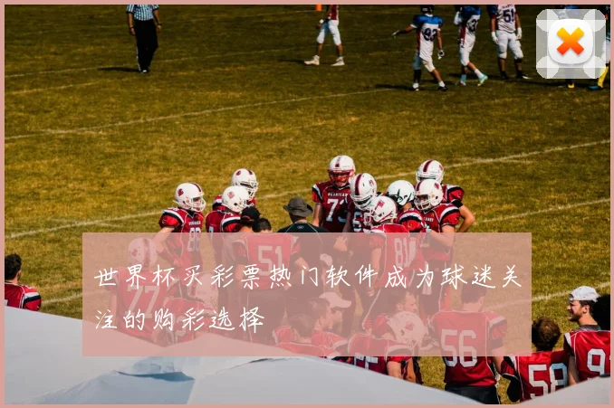 世界杯买彩票热门软件成为球迷关注的购彩选择